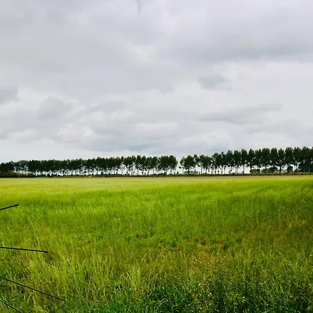 Art-hill Jabbeke (West-Flanders)